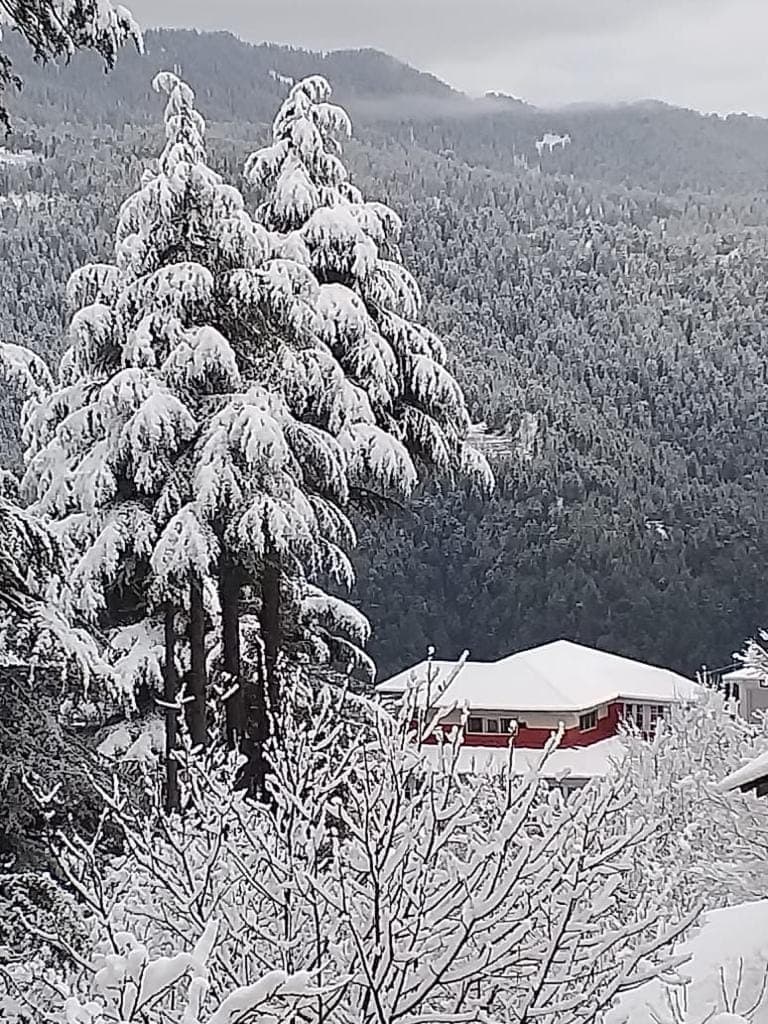 shezad-shariff-what's-img